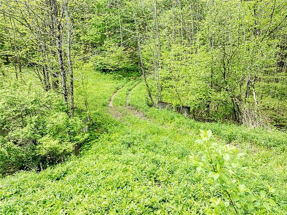 5th image of County Road 24 Lot 2