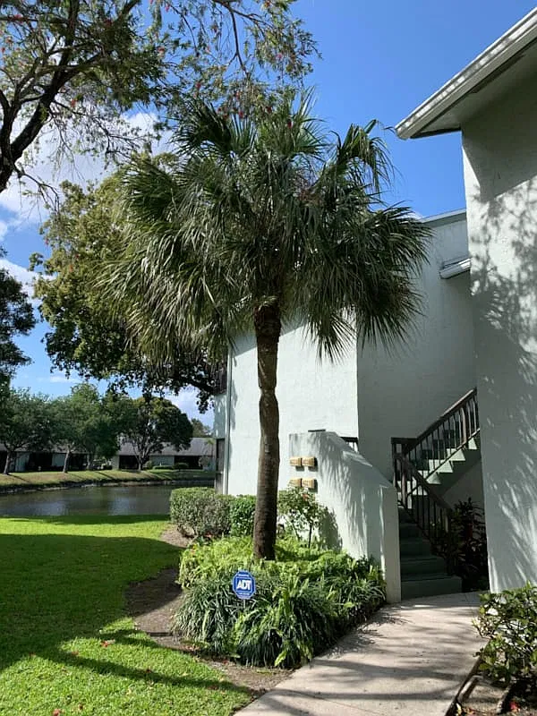 2 bed, 1200 sqft, $2,275 — Photo 3