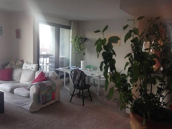 2nd image of 812 Memorial Dr APT 708