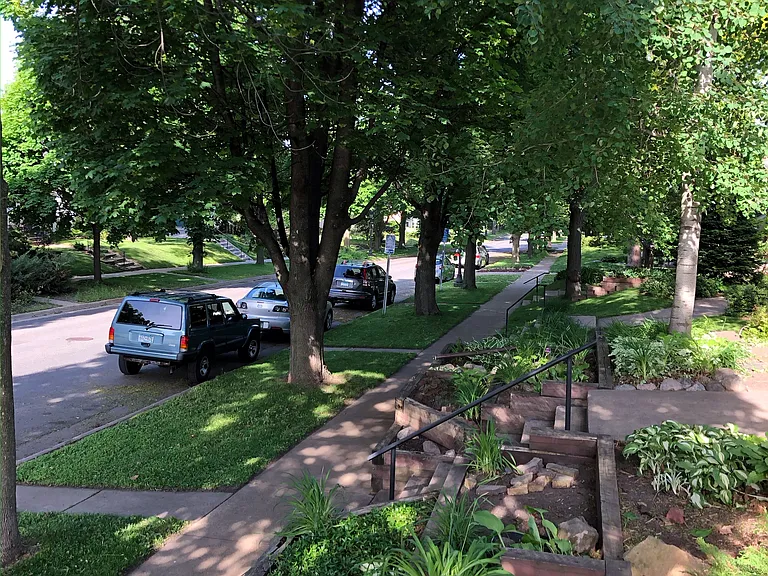 22 front yard_07262023