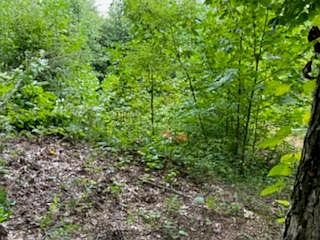 2nd image of 0 Turkey Pen Dr Lot 74