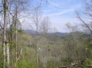 12 Thomas Cove Rd, Whittier, NC 28789