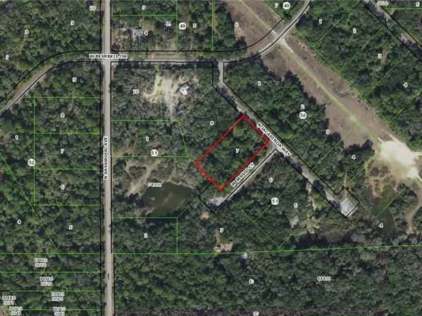 8102 N Jacaranda Way, Crystal River, FL 34428