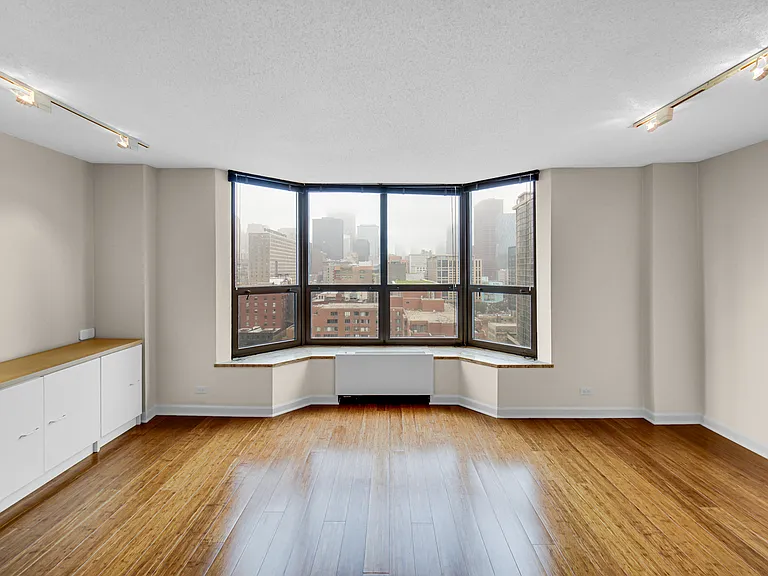 899 S Plymouth Ct #1602 — Photo 10