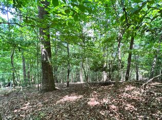 170 Beaver Lake Dr, Ellijay, GA 30540