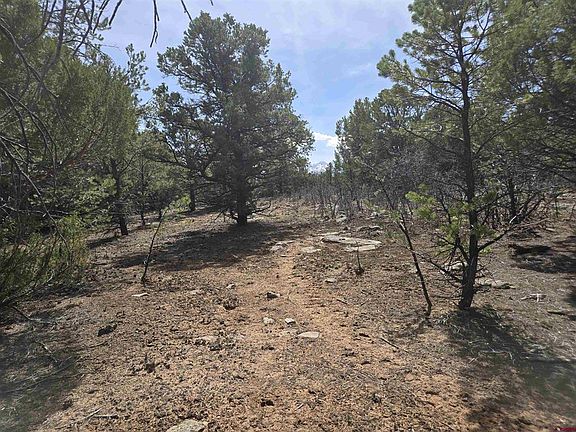 4th image of TBD Cottontail Lane