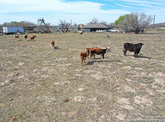 3rd image of 1784 Fm 1784