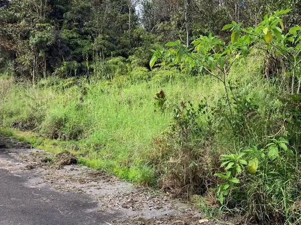 Hilohilo St Lot 28, Volcano, HI 96785