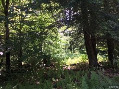 Forest Dr, Livingston Manor, NY, 12758