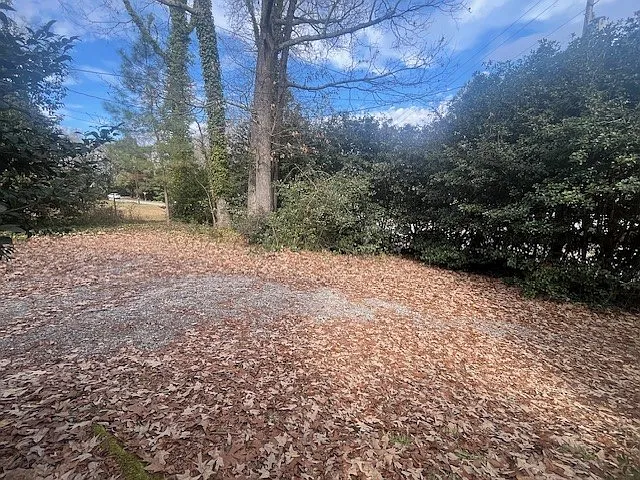 2 bed, 1.5 bath, $1,800 — Photo 2