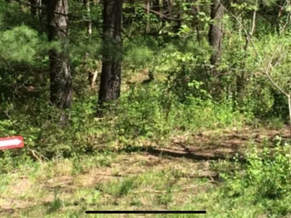 800 Hook Ln, Salem, VA 24153