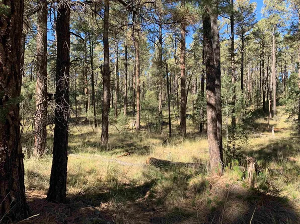 Dixwood Dr #8, Timberon, NM 88350