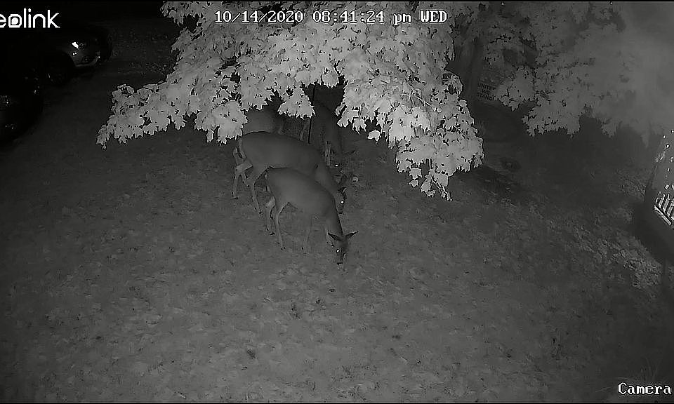 2nd image of 7845 2nd St