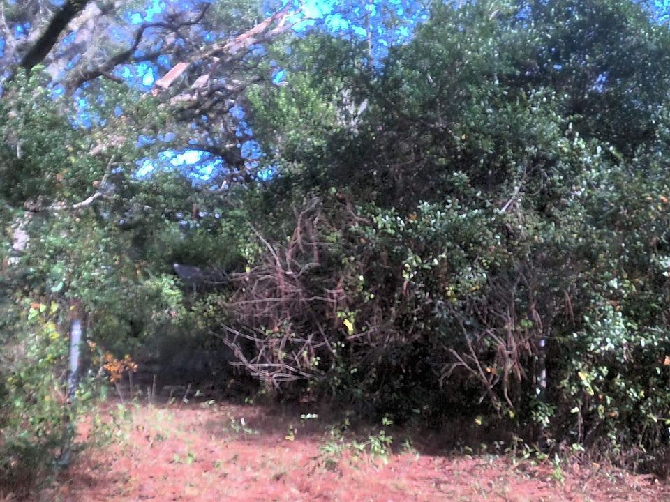 1st image of 8731 Chisholm Rd