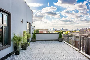 Rented by Bold New York