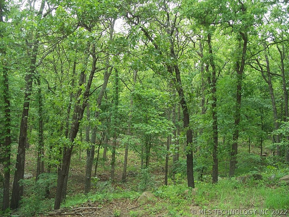 2nd image of N Woodland Pl