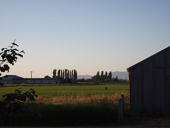Looking north
