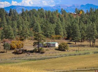 796 Parelli Institute Dr #&-61, Pagosa Springs, CO 81147