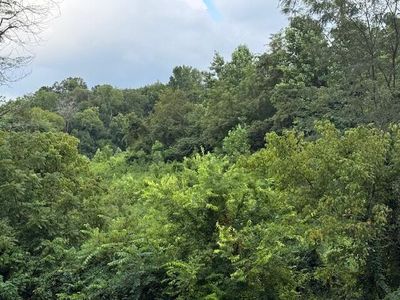 0 Dogwood Stand Rd, Hartford, TN, 37753