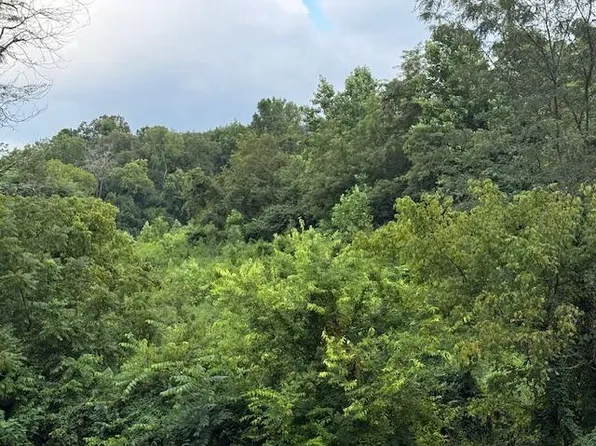 0 Dogwood Stand Rd, Hartford, TN 37753