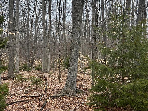 3rd image of N Dennis Rd