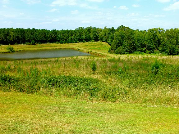 View from front porch.