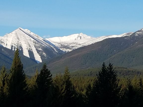 View from living room