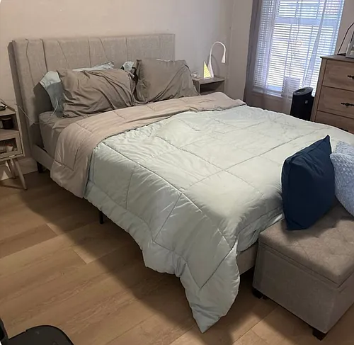 4234 Illicium Ln Photo 1