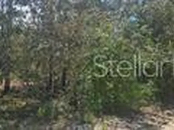 000 NE 67 STREET LOT 1, BRONSON, FL 32621