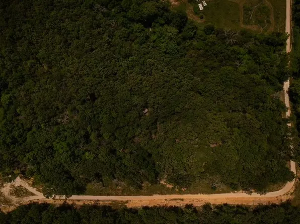 Lot 4 Cedarwood Drive, Marshfield, MO 65706