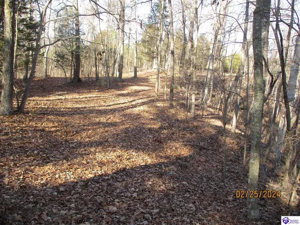 Givens Ln, Eastview, KY 42732