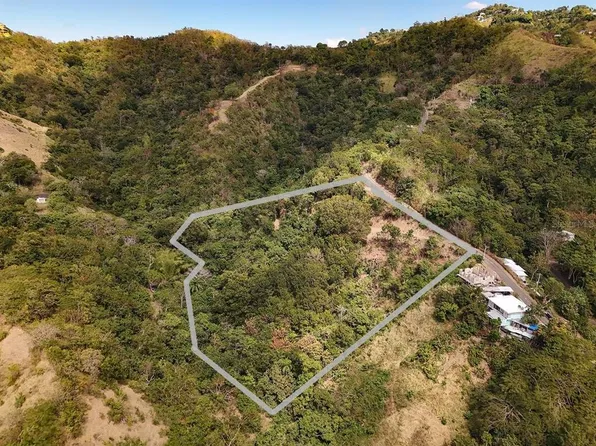 Carr115 Km 4.5 Interior, Anasco, PR 00610