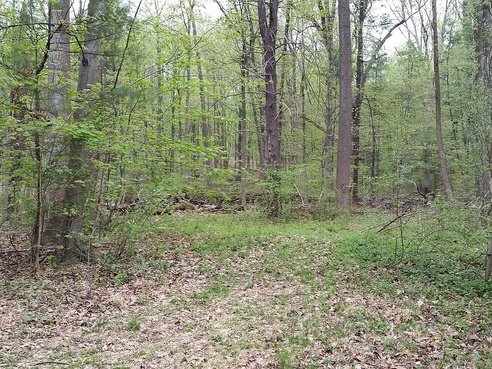 2nd image of 100 Kingston Ln