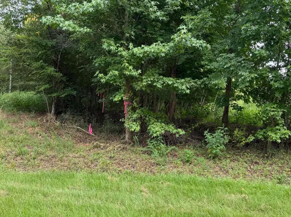0 Chatham Church Rd Lot Newtract1, Moncure, NC 27559