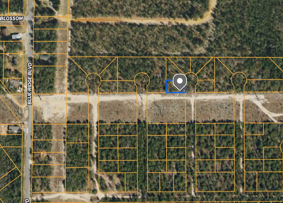 2nd image of LOT 1 White Spruce Ln