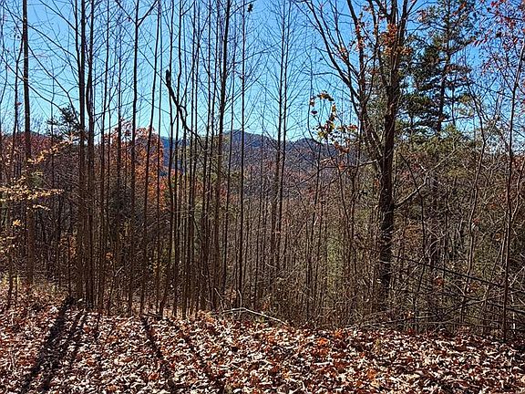 4th image of LOT 13 View Ridge Trl