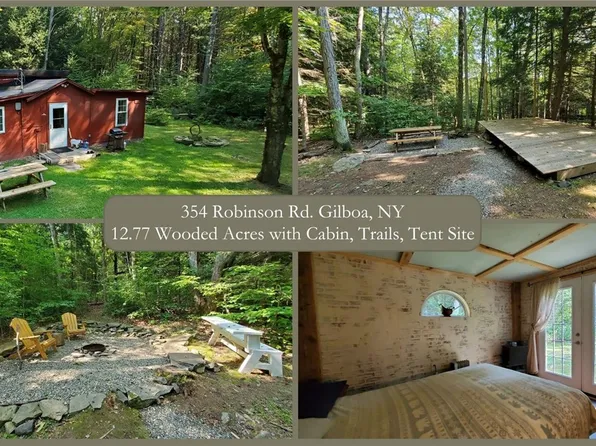 354 Robinson Rd, Gilboa, NY 12076
