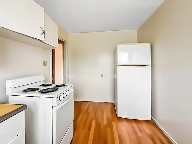 1 bed, 1.0 bath, 535 sqft, $3,195 — Photo 3