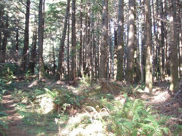 2nd image of Fir Rd