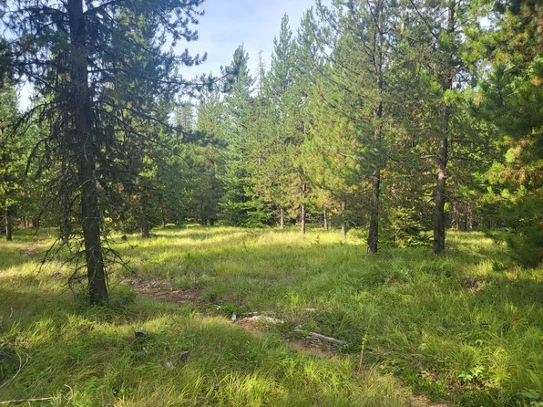 358 Jones Hill Rd, De Borgia, MT 59830