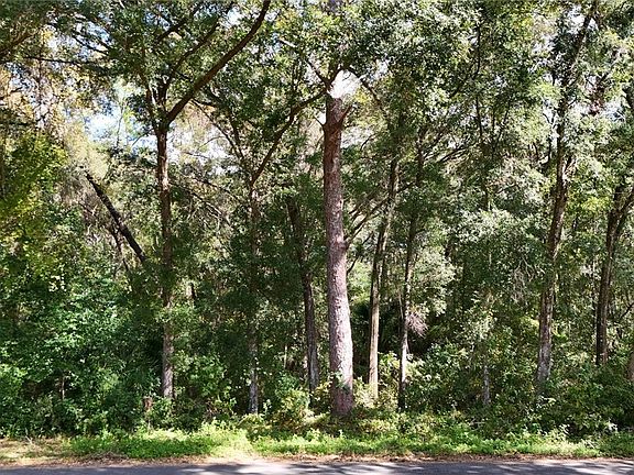 5th image of 4197 N Indianriver Dr