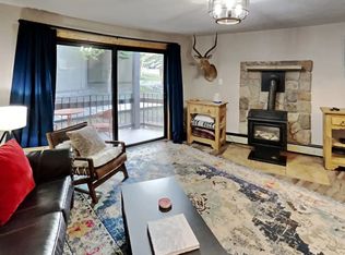 1167 Ski Hill Rd #M-175, Breckenridge, CO 80424