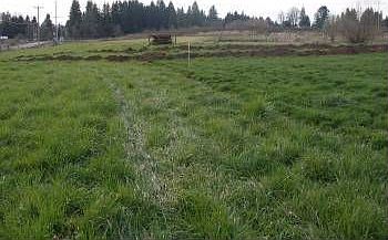 2nd image of 14040 NE 159th St