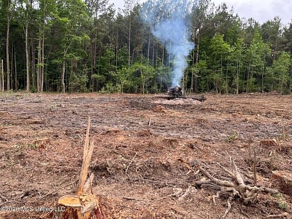 2nd image of 715 Old Pinola Braxton Rd