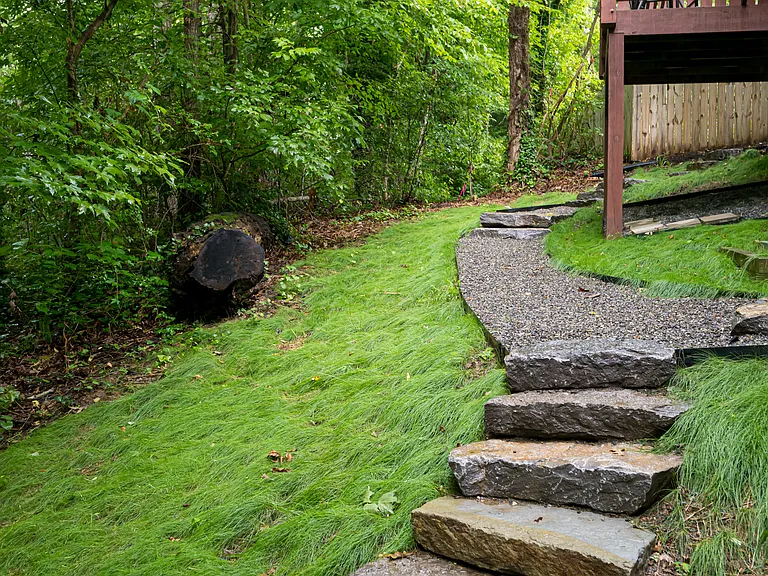51 Westover Dr — Photo 6