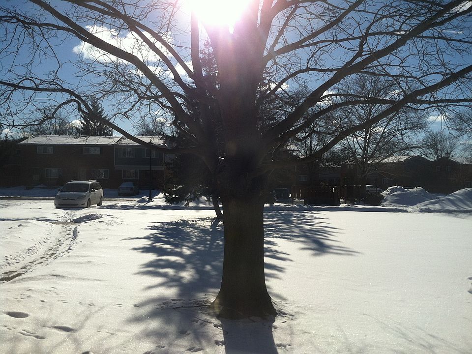 1st image of 3155 Wolverine Dr