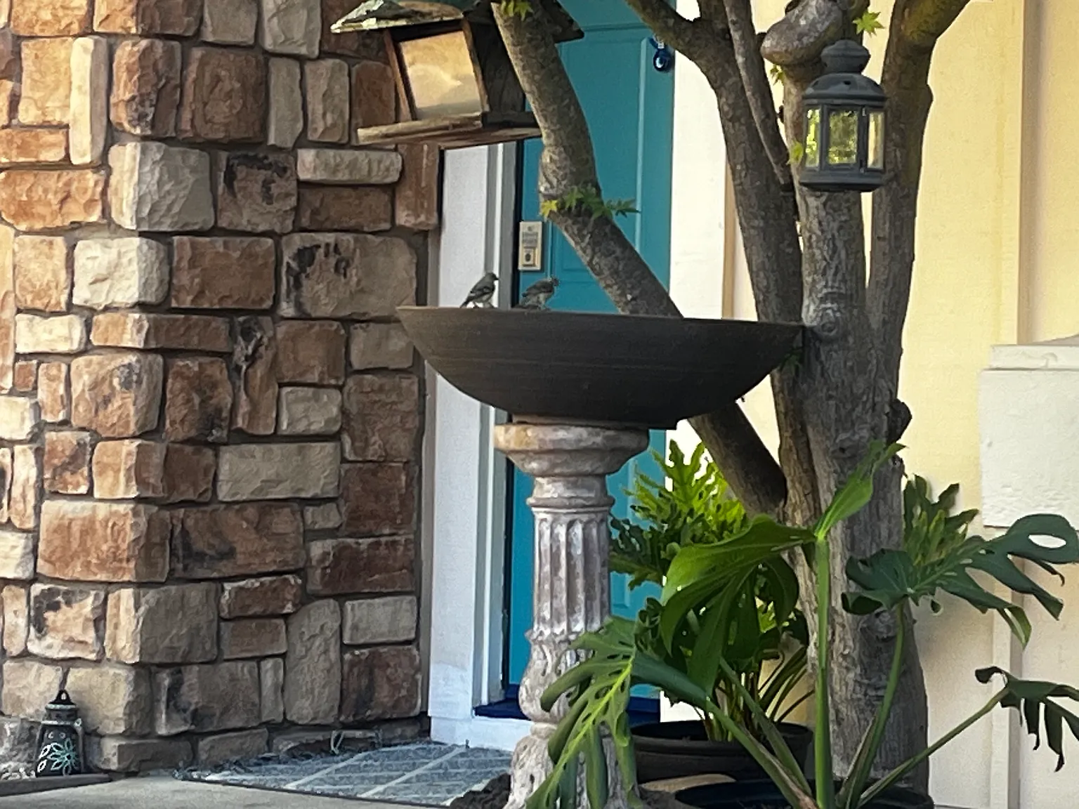 Morgan Dr, San Ramon — Photo 1