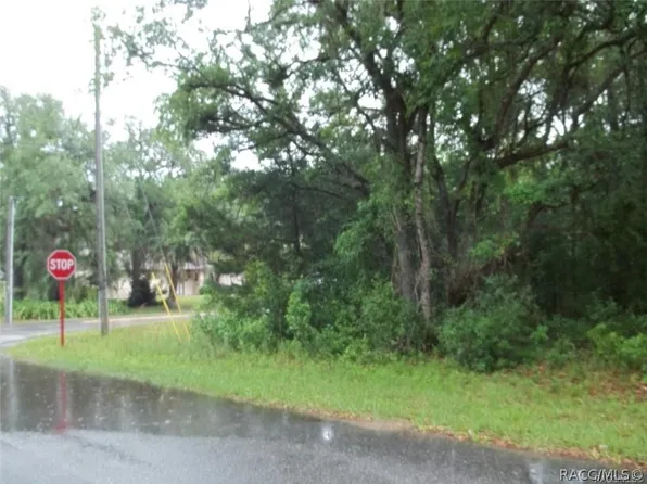 11 S Fitzpatrick Ave, Inverness, FL 34453