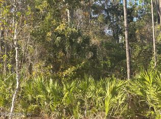 108 Coot Rd, Satsuma, FL 32189