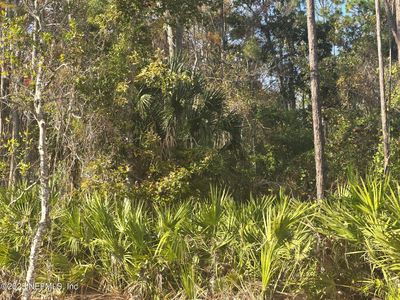 108 COOT Road, Satsuma, FL, 32189
